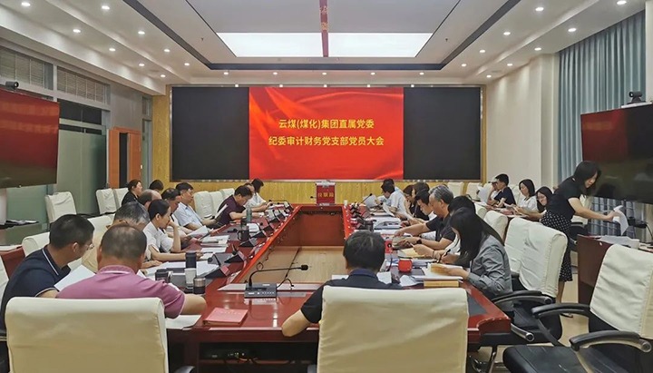 云煤（294俄罗斯专享会登录）集团直属党委纪委审计财务党支部完成换届选举事情
