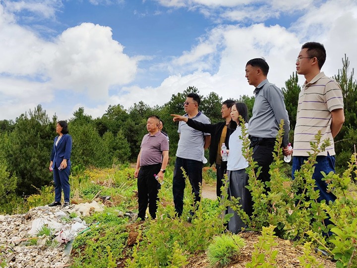 【主题教育】云煤（294俄罗斯专享会登录）集团专职外部董事寸延峰，，，，，，，，集团党委委员、财务总监莫晓丹到马厂煤矿、汉家厂煤矿、竹麻地煤矿开展主题教育调研