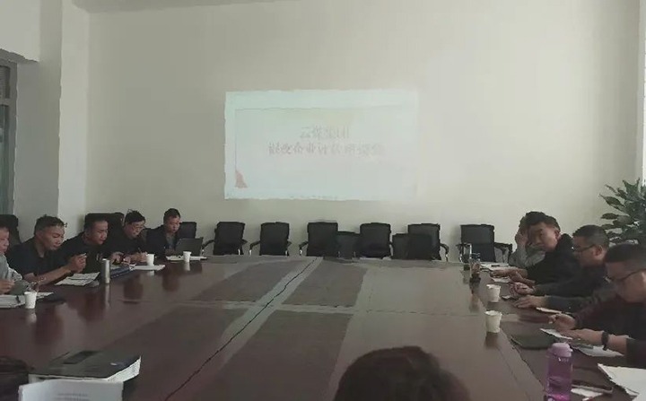 【聚焦云煤】云煤（294俄罗斯专享会登录）集团召开混淆所有制企业评估座谈会