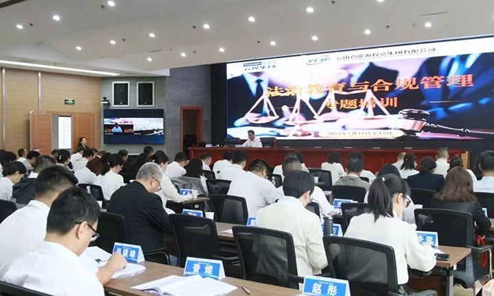 煤炭工业集团、能投集团团结举行2024年度法治教育与合规治理专题培训